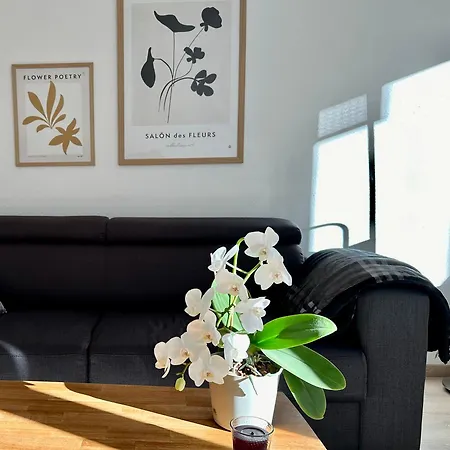 Modernes Zwei-zimmer-apartment - Kassberg Хемниц